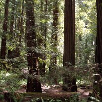 GEDC8474 GE DIGITAL CAMERA