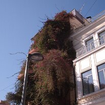 GEDC0131 GE DIGITAL CAMERA