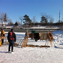 6859361909_fff2b958bc_o