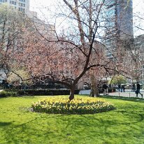 2013.04.20.20.12.33-10151212043277537