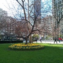 2013.04.21.22.57.25-10151213358372537