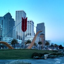 IMG_20130117_071622_268