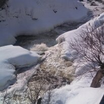 IMG_20130210_143701_385(1)