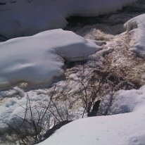 IMG_20130210_143706_115