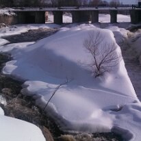 IMG_20130210_143800_742(1)