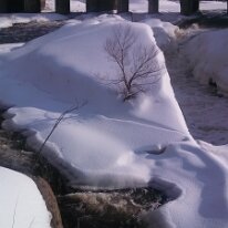 IMG_20130210_143805_995