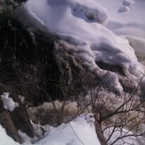 IMG_20130210_143812_101