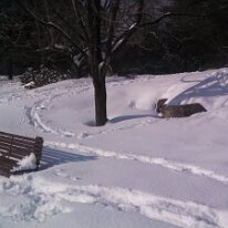 IMG_20130210_143844_756