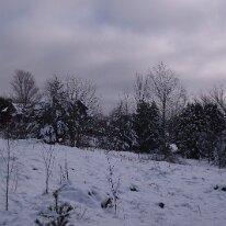 GEDC0002 GE DIGITAL CAMERA