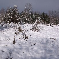 GEDC0003 GE DIGITAL CAMERA