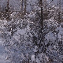 GEDC0004 GE DIGITAL CAMERA