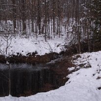 GEDC0006 GE DIGITAL CAMERA