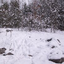 GEDC0007 GE DIGITAL CAMERA