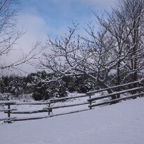 GEDC9991 GE DIGITAL CAMERA