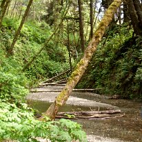 GEDC8608 GE DIGITAL CAMERA