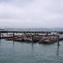 GEDC8803 GE DIGITAL CAMERA