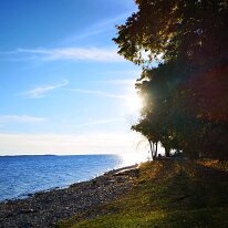 IMG_20181104_152824 sdr