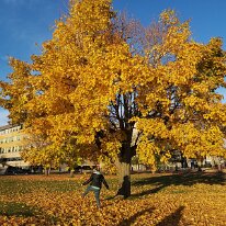 IMG_20181104_155817 cof