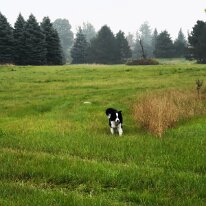 IMG_20181002_172845 oznor