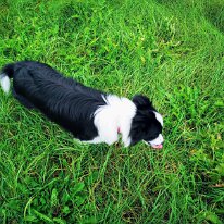 IMG_20181002_172950 smartcapture