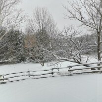 IMG_20181116_110532 rhdr