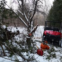 IMG_20181117_164027 cof