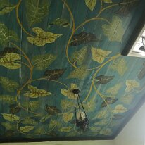 IMG_20190303_144549 cof