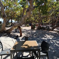 IMG_20190304_122925 cof