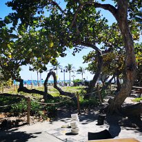 IMG_20190304_122934 smacap_Bright