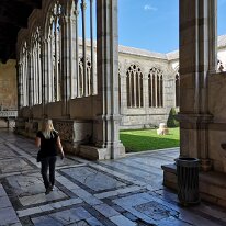 IMG_20190408_142555 rhdr