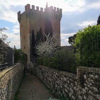 IMG_20190403_171351 cof