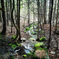 IMG_20190525_163553 smacap_Bright