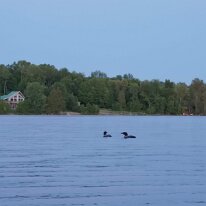 IMG_20190622_211528 oznor