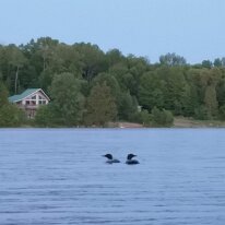 IMG_20190622_211533 oznor