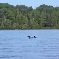 IMG_20190622_211550 oznor