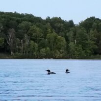 IMG_20190622_211552 oznor