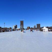 IMG_20190209_130336 dav