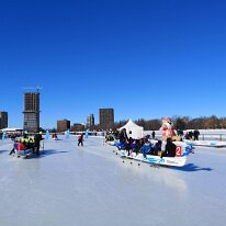 IMG_20190209_130348 dav