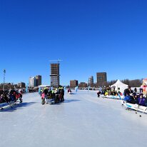 IMG_20190209_130352_1 dav