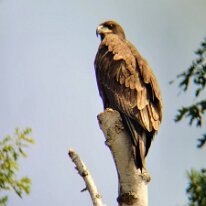 original_8e058124-480e-48ad-965a-b5f61e3ff0c0_20210824_114908