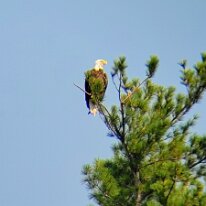 original_b3583528-81a8-4f6f-998a-72cbd1592577_20210824_113331