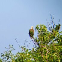 original_f9d5035e-2e79-4ecc-99ae-eb6fc5afcf1c_20210824_112611