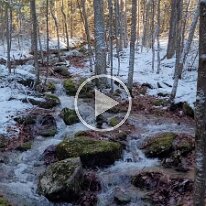 20211212_100018 -- creek