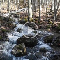 VID_20210329_093906 -- creek7