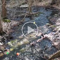 VID_20210331_173221 -- creek game8