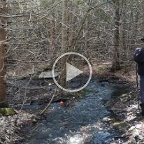 VID_20210331_173257 -- creek game4