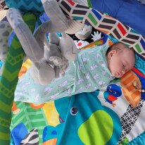 original_04c3972c-a179-4254-8b9c-1a8d71100d30_20220815_133052