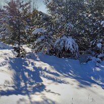 20230114_101500-PANO