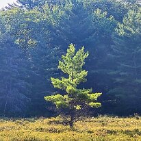 original_b01eabb3-803c-415d-b741-48c27275f07a_20240813_173851