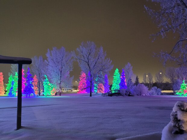 Calgary Christmas